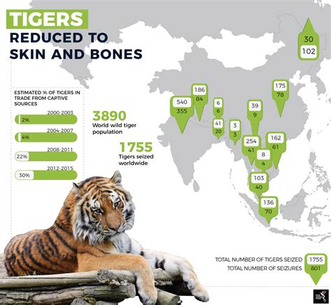 why are south china tigers going extinct